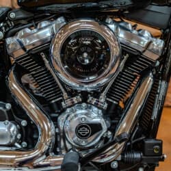 2026 Harley-Davidson Street Bob