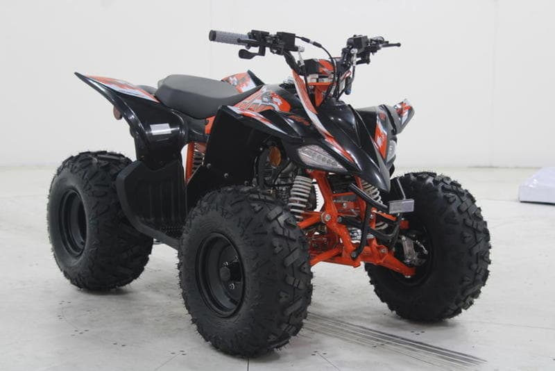 2025 Kayo 110 Predator